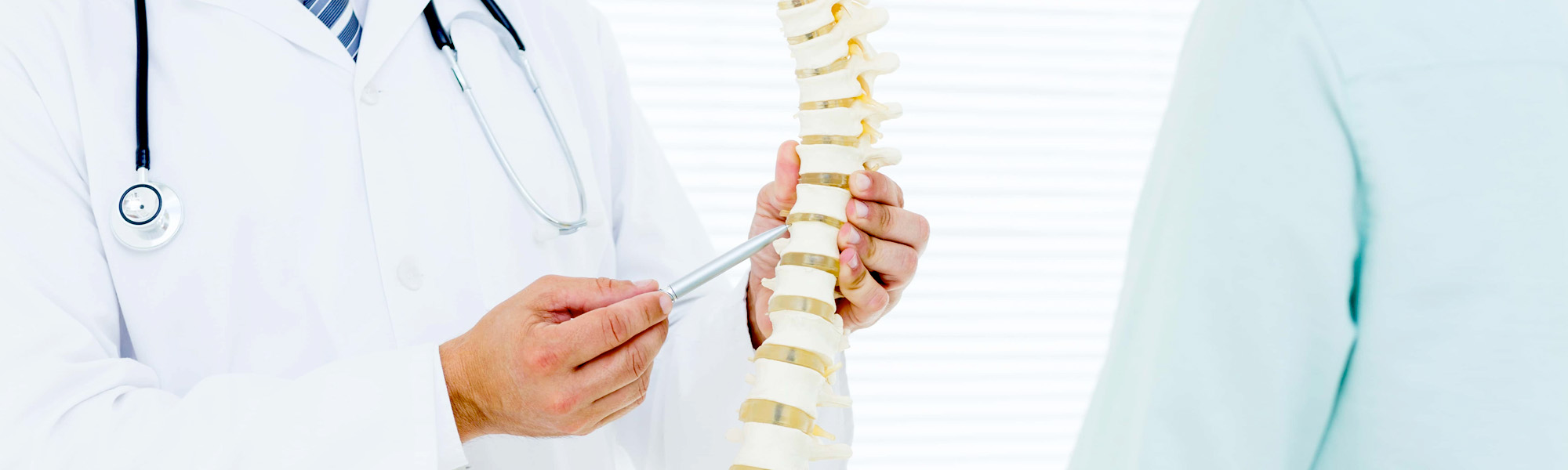 Doctor pointing anatomical spine